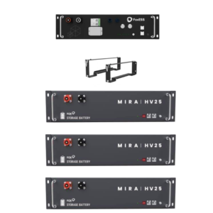 BMS + 3 x Fox HV25 Mira