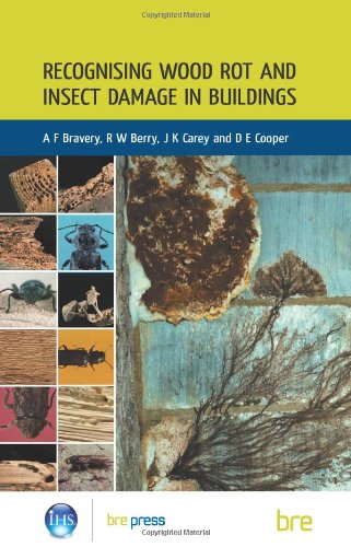 Recognising Wood Rot and Insect Damage in Buildings